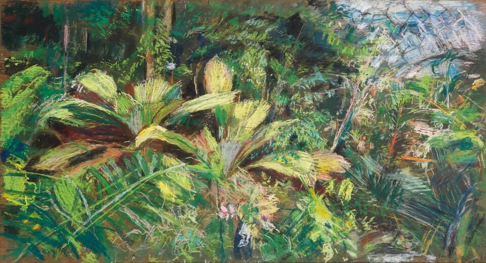 Malaysian Plants, Eden Project
