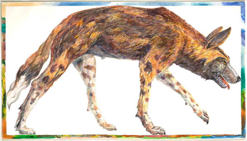 Hunting Dog
