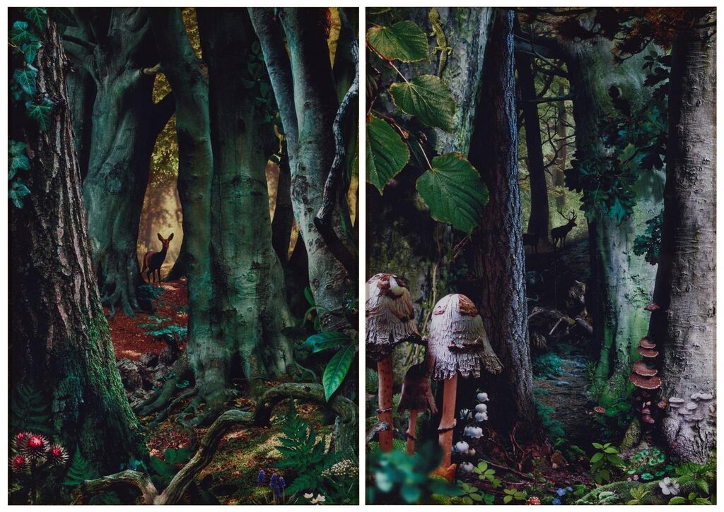 (i) Study in Green #8; (ii) Study in Green #16