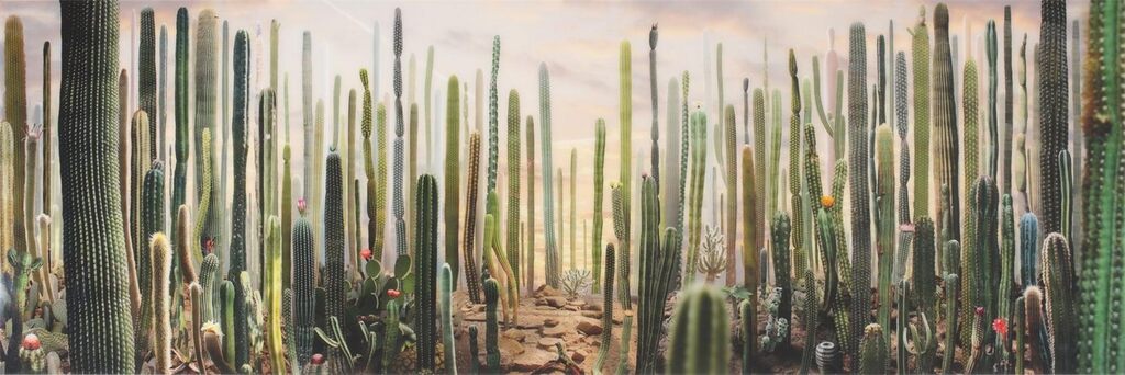 ”Theatre # 8”
