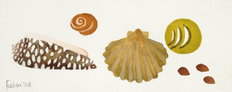 Shells