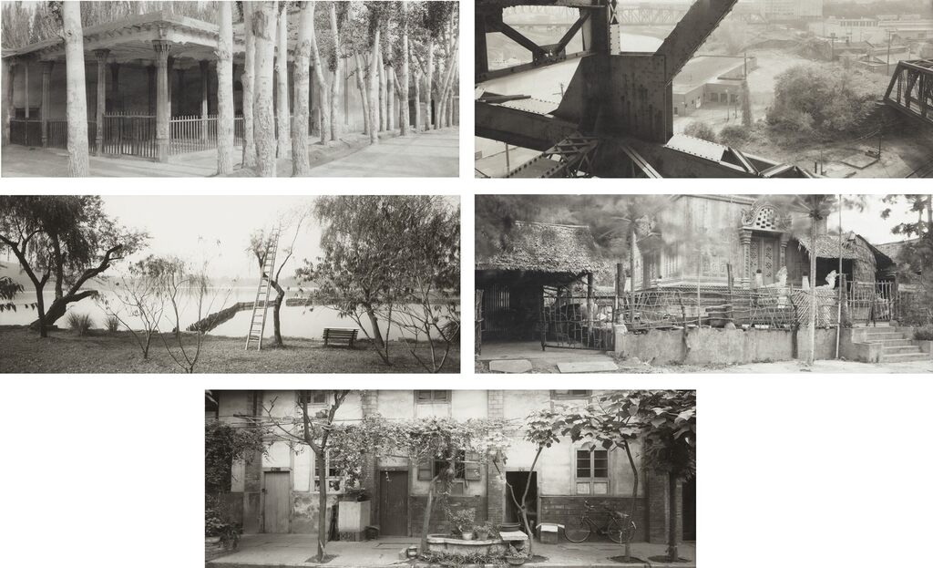 Selected Images