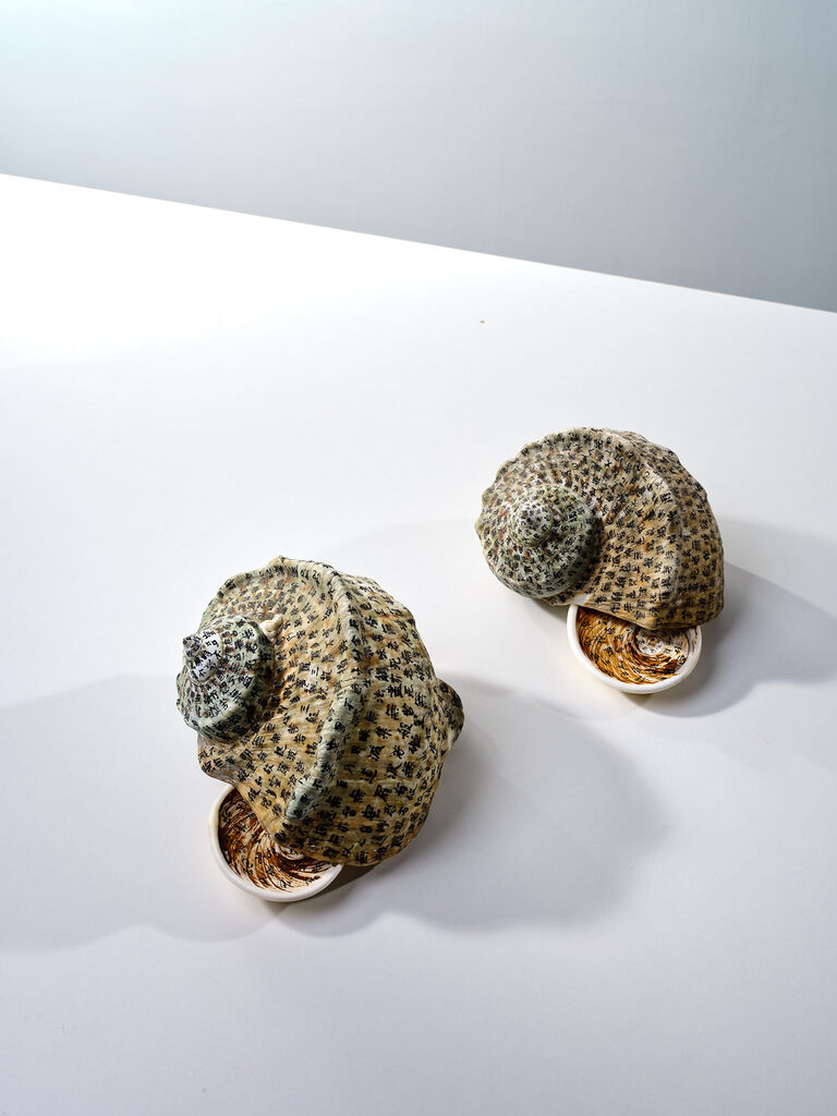 A Dedication to the Victims of the Tsunami of March 11, 2011 - Turbo Marmoratus II
