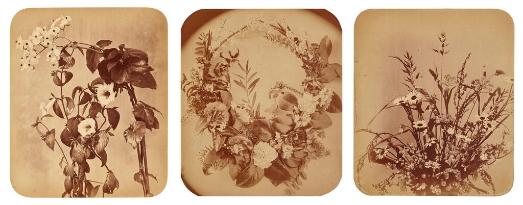 Roses and other flowers