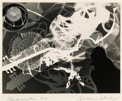 Schadography 117