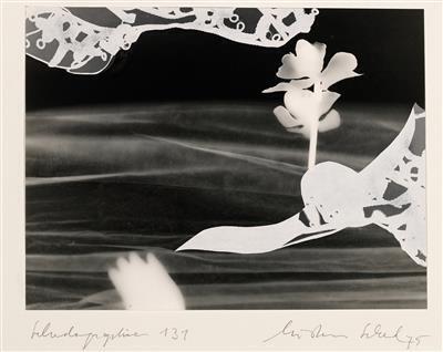 Schadography 131