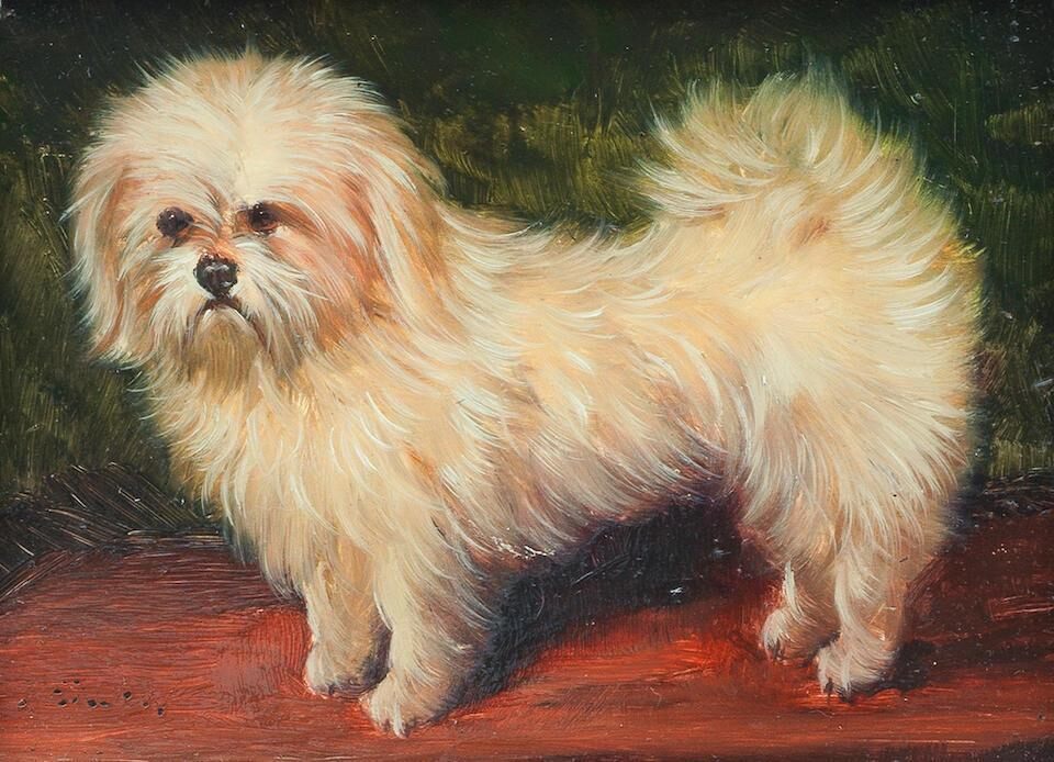 Six Portraits of Various Dog Breeds; Two portrait and three landscape