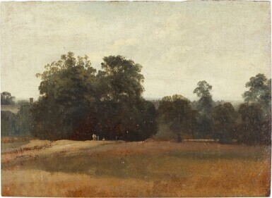 Meadow with trees and a house beyond
