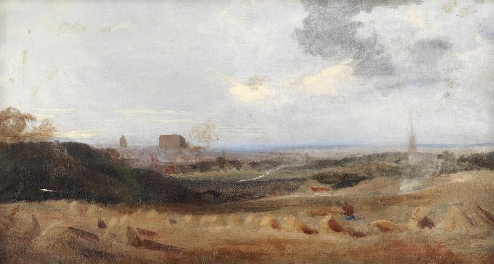 Harvest landscape
