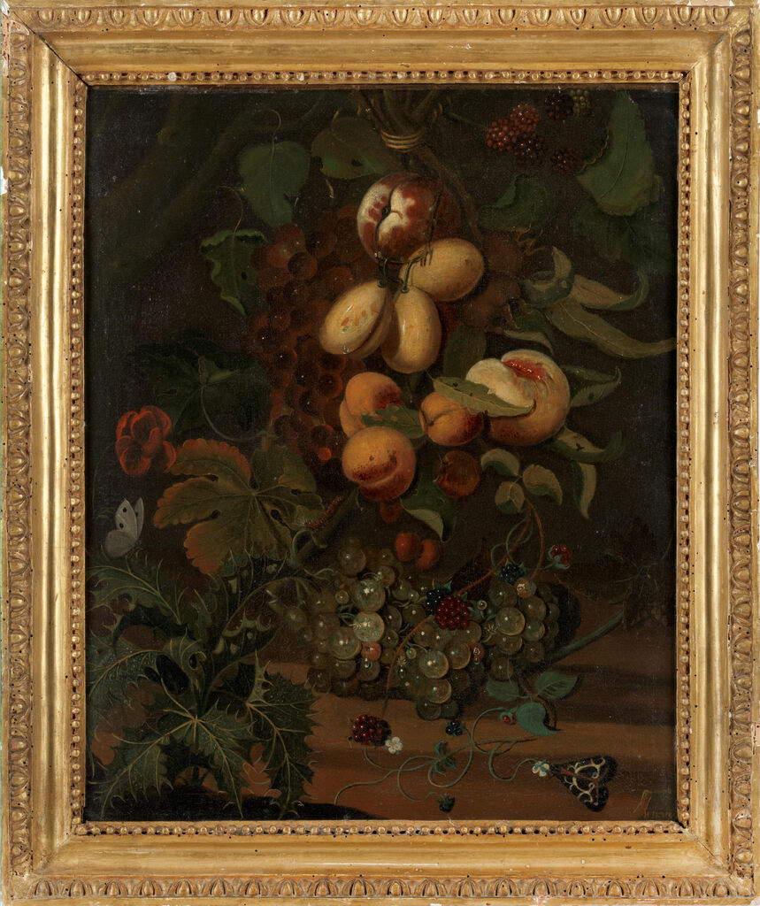 Still life with apricots, plums and peaches together with blackberries, grapes and butterflies