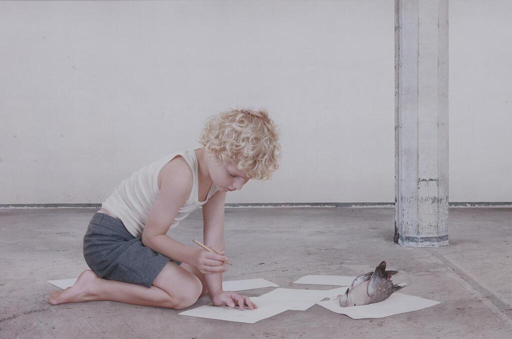 The Dove