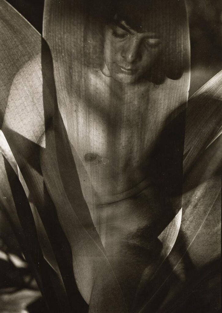 Nude study