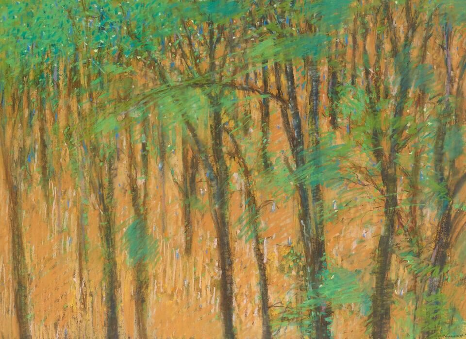 Woods on Slope