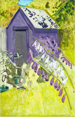 Foxglove + Shed
