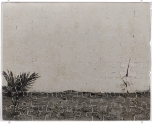 "Untitled"