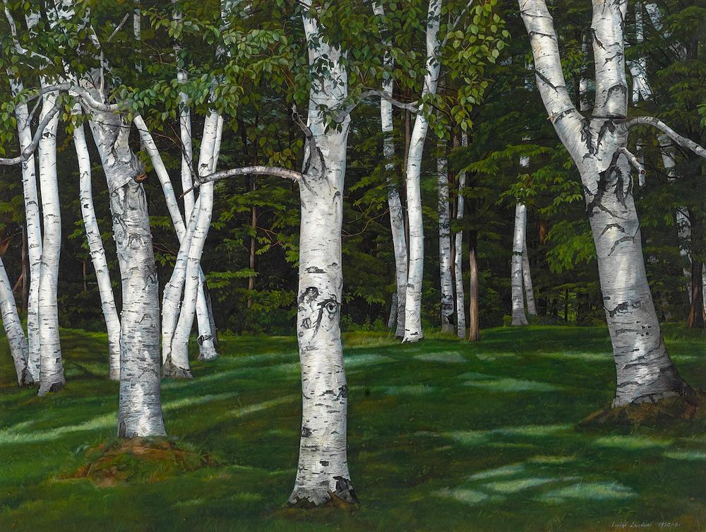 The Birches