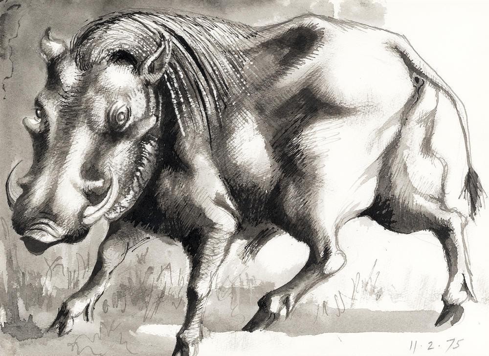 Warthog