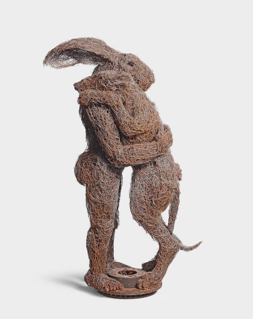 Lady-Hare holding Dog