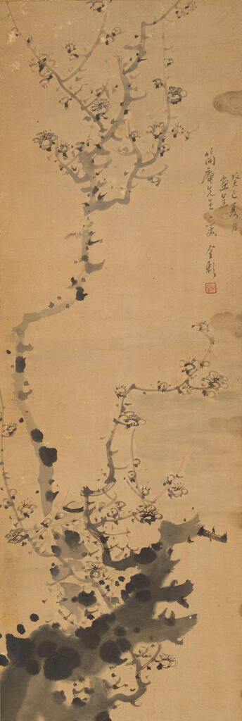 Jin Lan