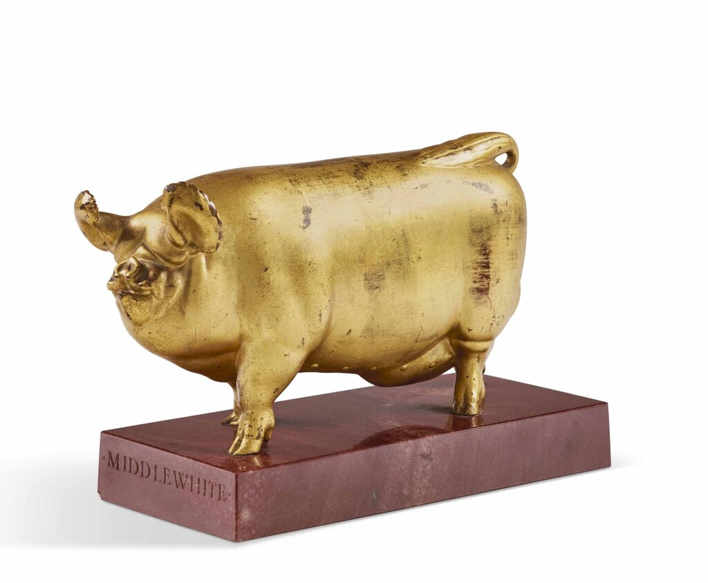 Middle White Boar: Wharfedale Deliverance