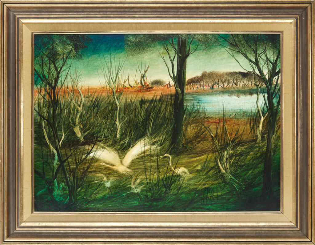 Swamp with waterbirds