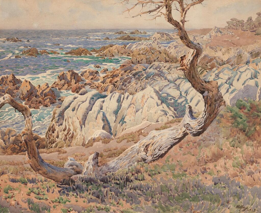 California Coastal Scene (Near Highway 1)