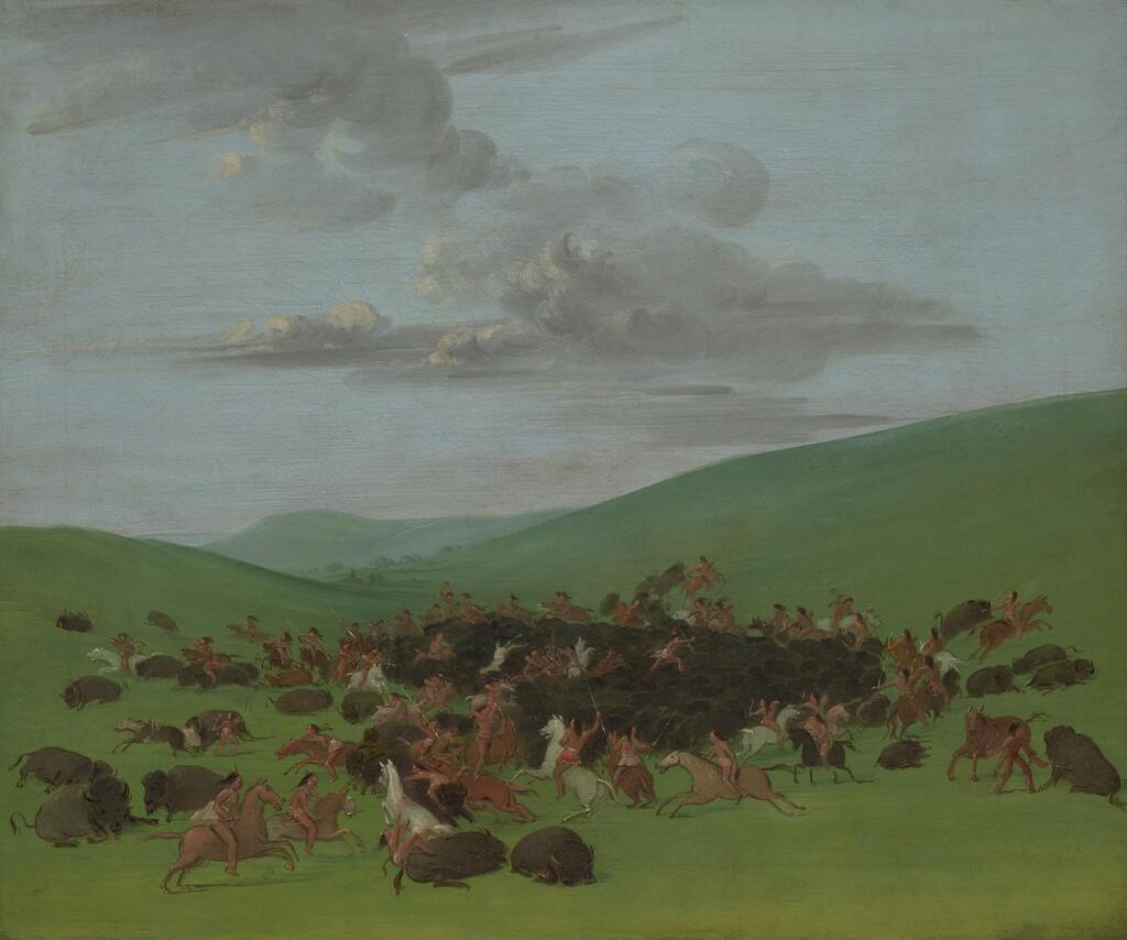 Buffalo Chase, A Surround by the Hidatsa
