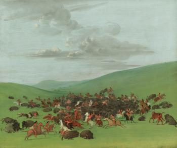 Buffalo Chase, a Surround By The Hidatsa