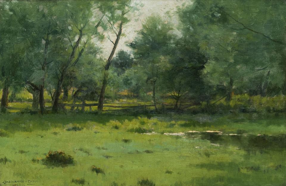 Under the Willows
