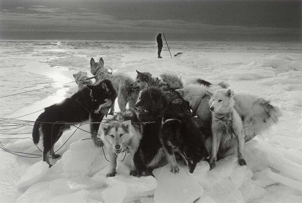”Hunter – Greenland”