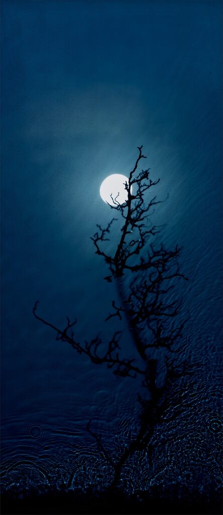 Full Moon — Hawthorn