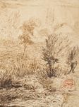 Le jardin