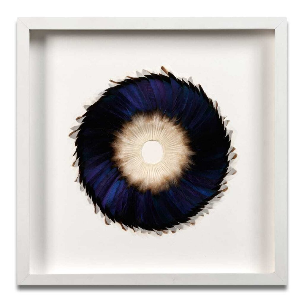 Sepal Mirror