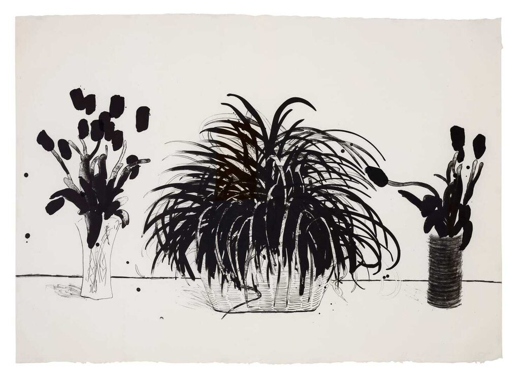 Two Vases of Cut Flowers and a Liriope Plant