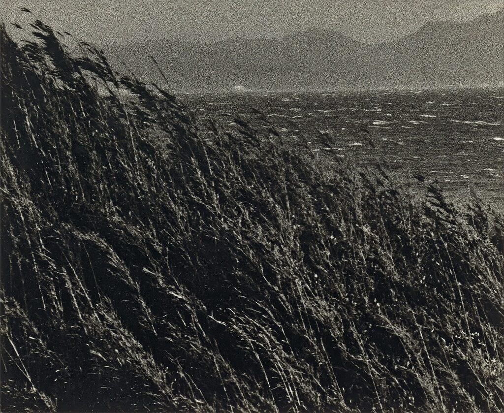 Yokosuka Story #5