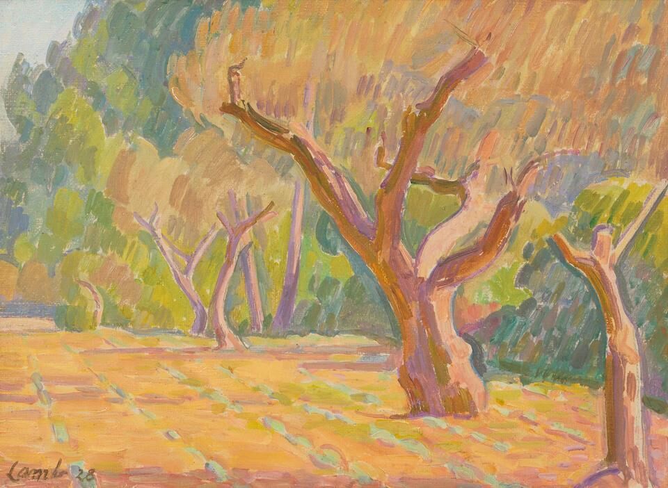 Olive Trees
