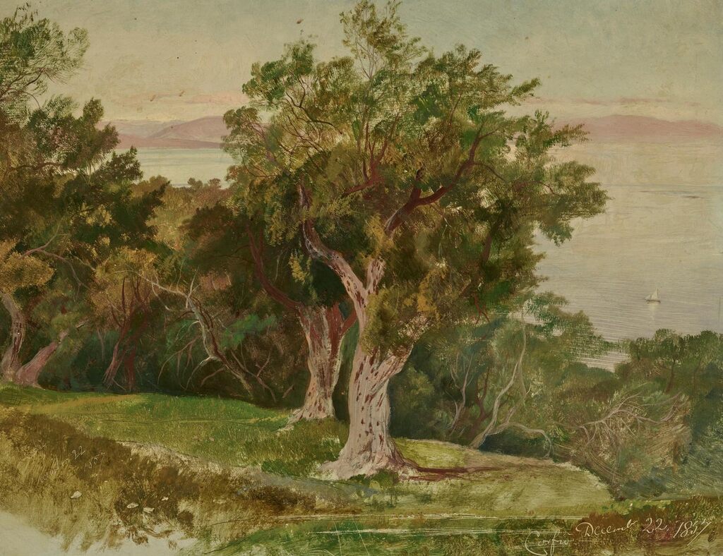 An Olive Grove, Corfu, a sailing boat to the right