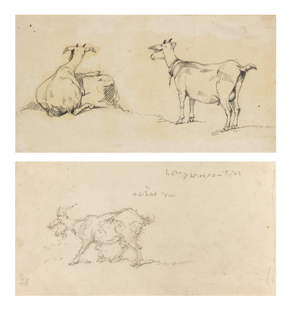 Studies of goats, a set of two