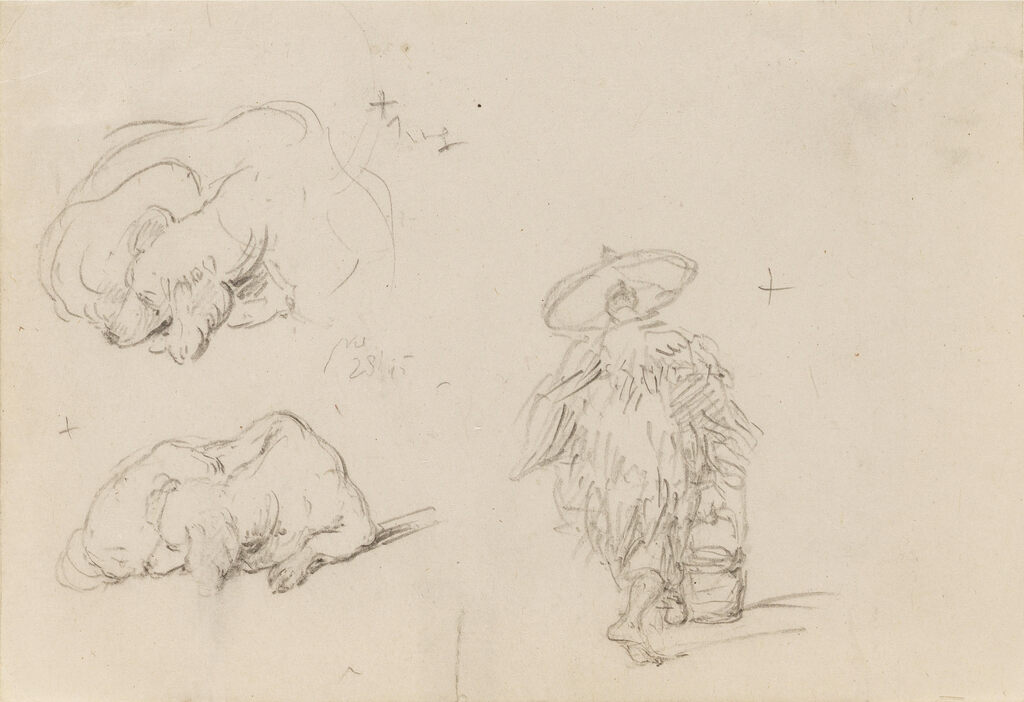 Studies of dogs and a Chinese man in wet-weather dress