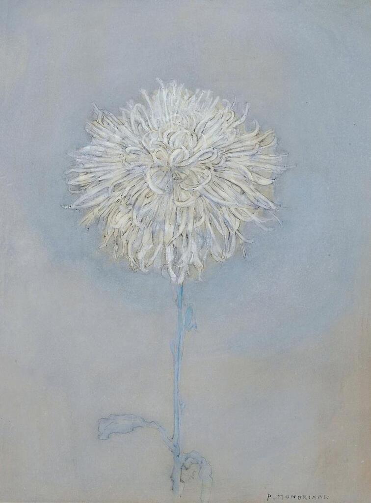 Chrysanthemum