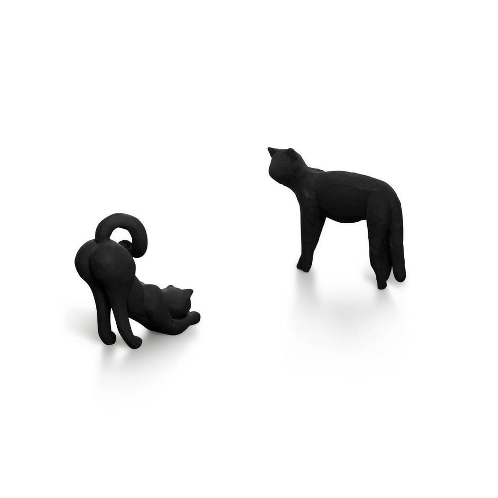 The Cat with the Broken Leg