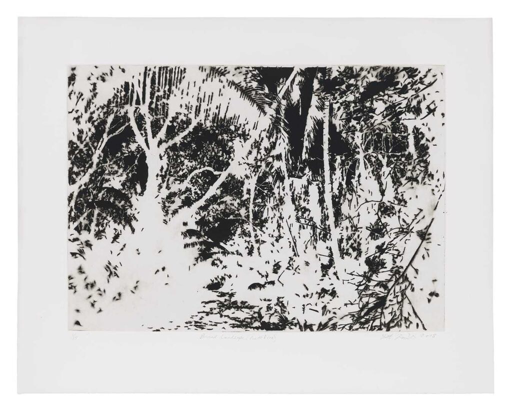 Burned Landscape (Puerto Rico)