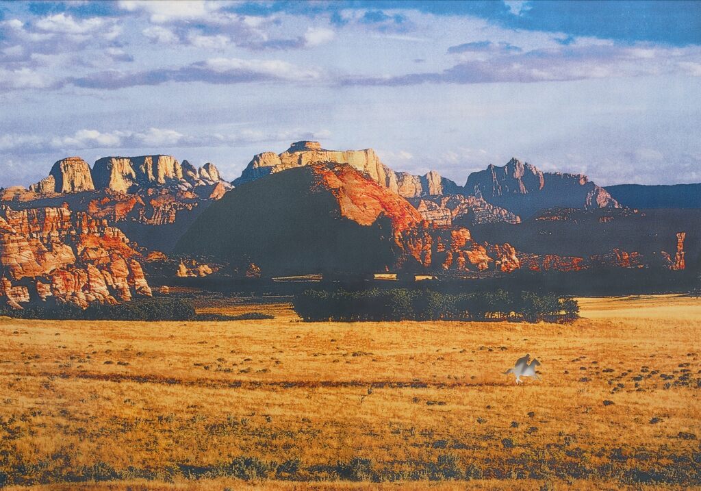 Untitled (Cowboy) (Plains)