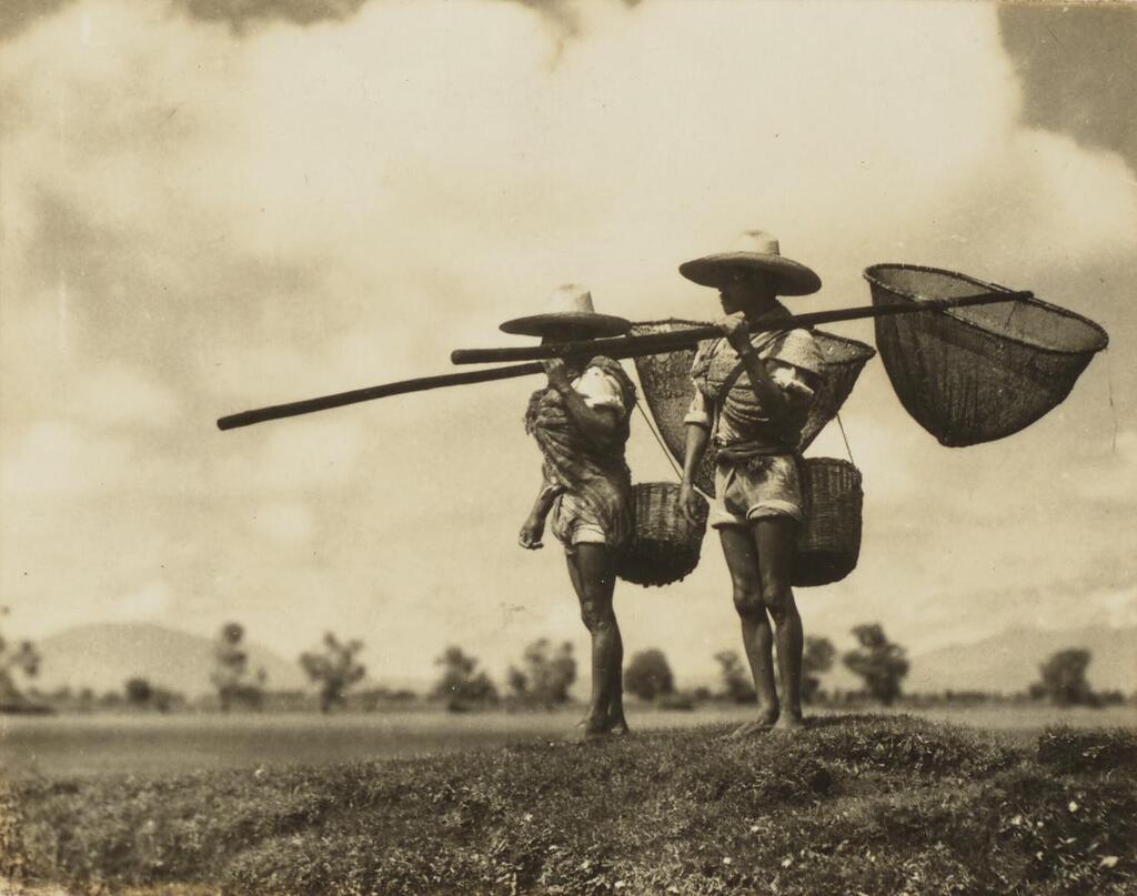 Pescadores de Mariposas