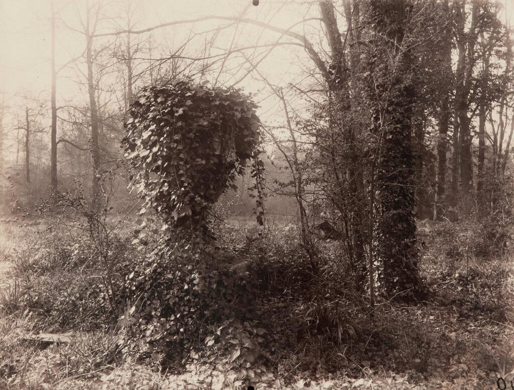 Parc de Sceaux (avril, 7 heures matin) (ivy-covered urn)