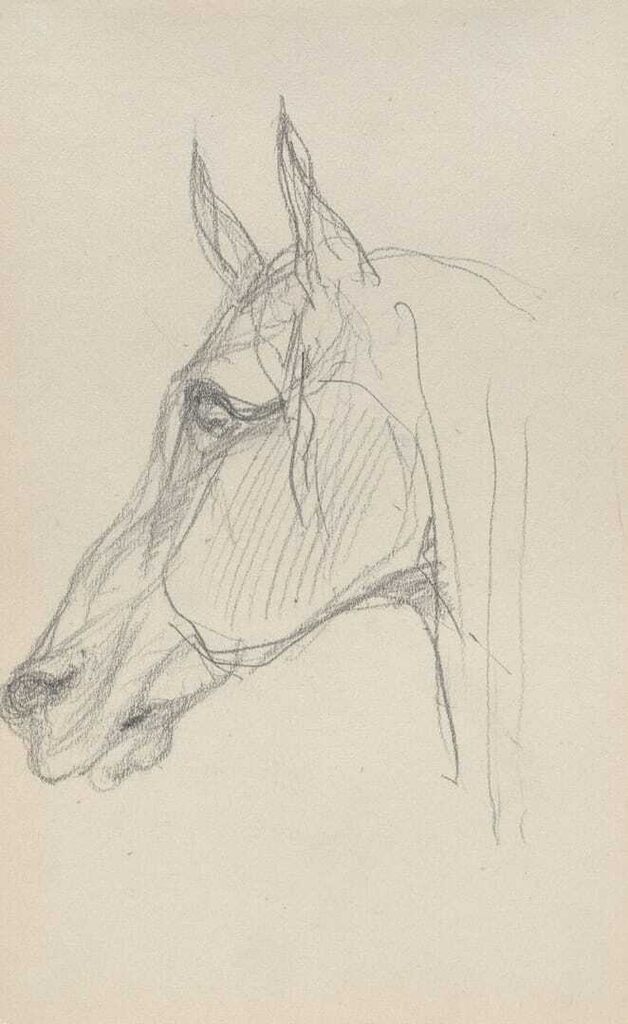 Tête de cheval