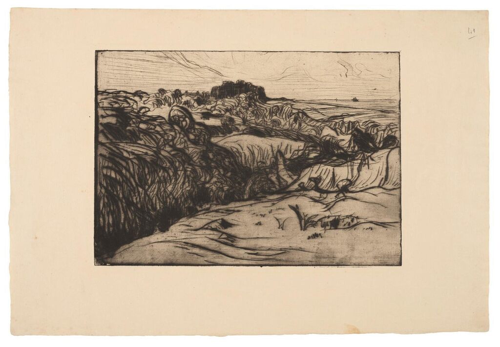 Paysage sur la côte