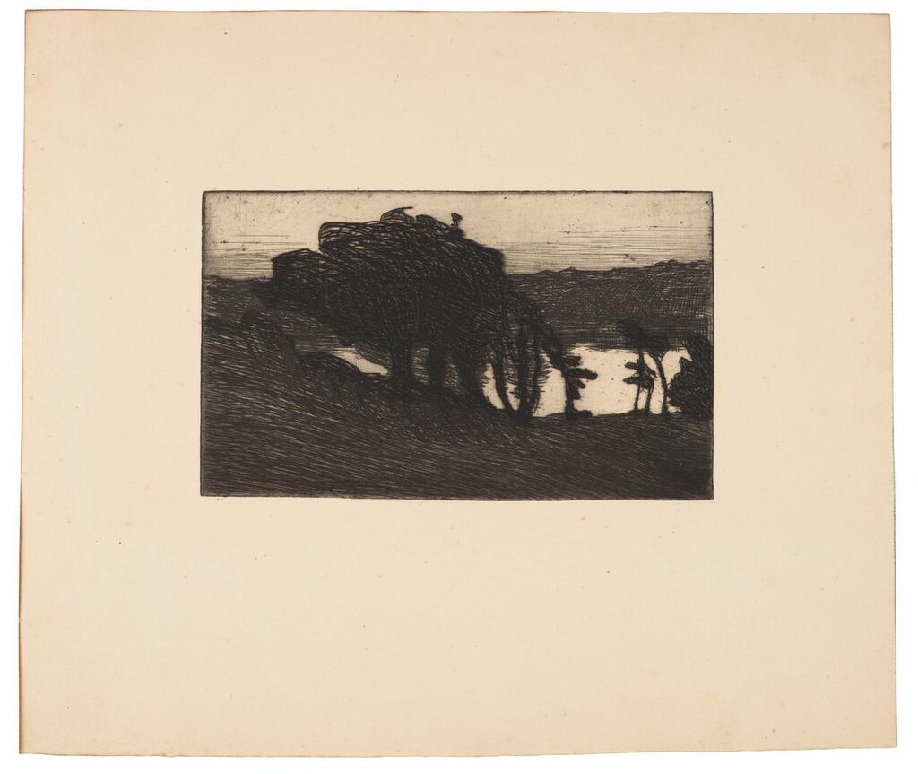 Paysage avec des arbres sombres et une rivière
