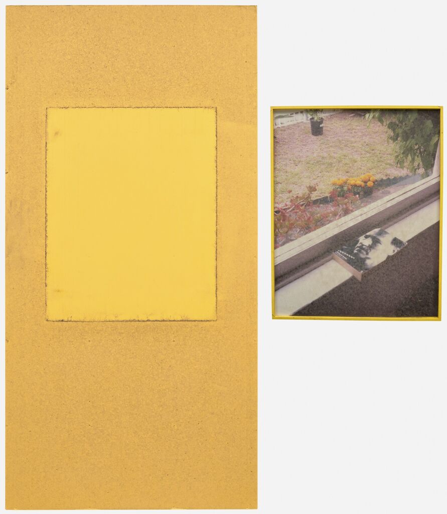 Untitled (639 Santa Clara Ave, 90291, Potted Gerbers, Window/Wall)