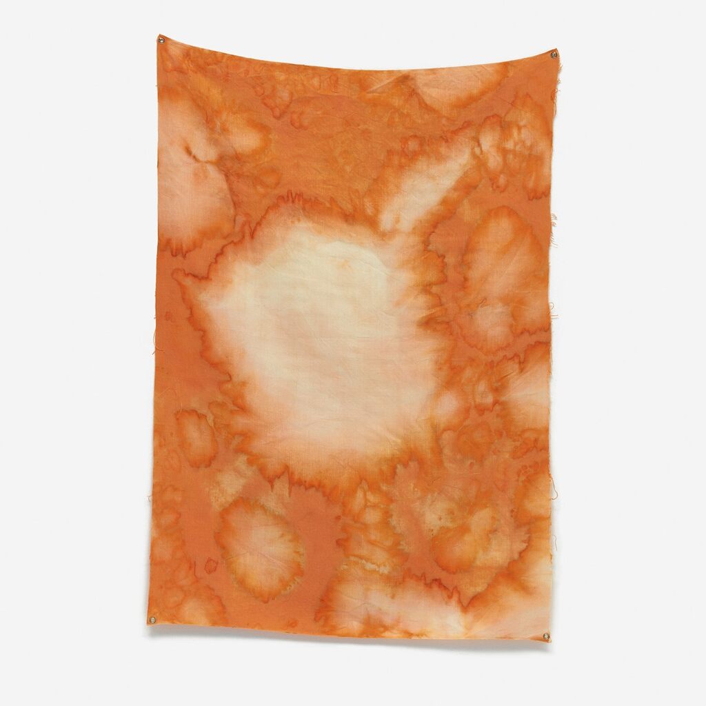 Untitled (Orange, Joshua Tree, CA)